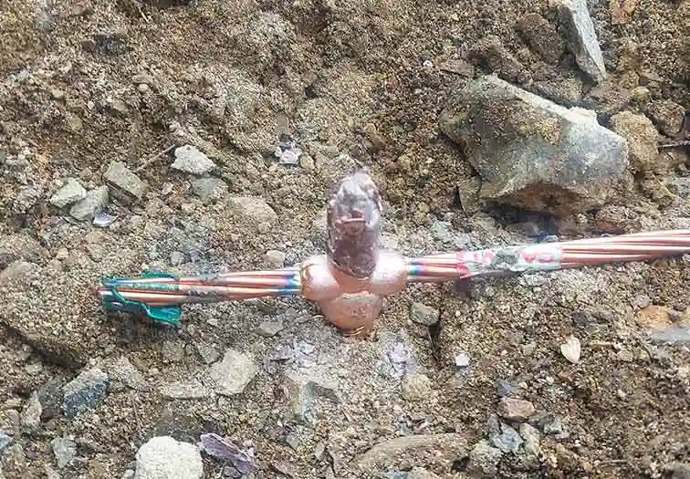 moi han Hoa nhiet